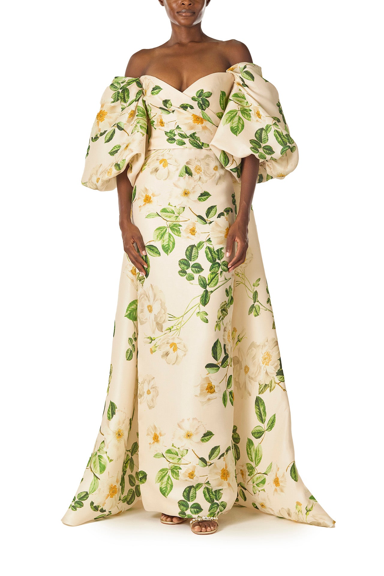 Monique Lhuillier Spring 2025 Off-the-shoulder, rose printed gazar cape with blouson puff sleeves - front.