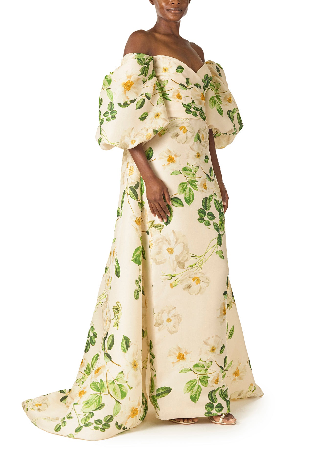 Monique Lhuillier Spring 2025 Off-the-shoulder, rose printed gazar cape with blouson puff sleeves - side.