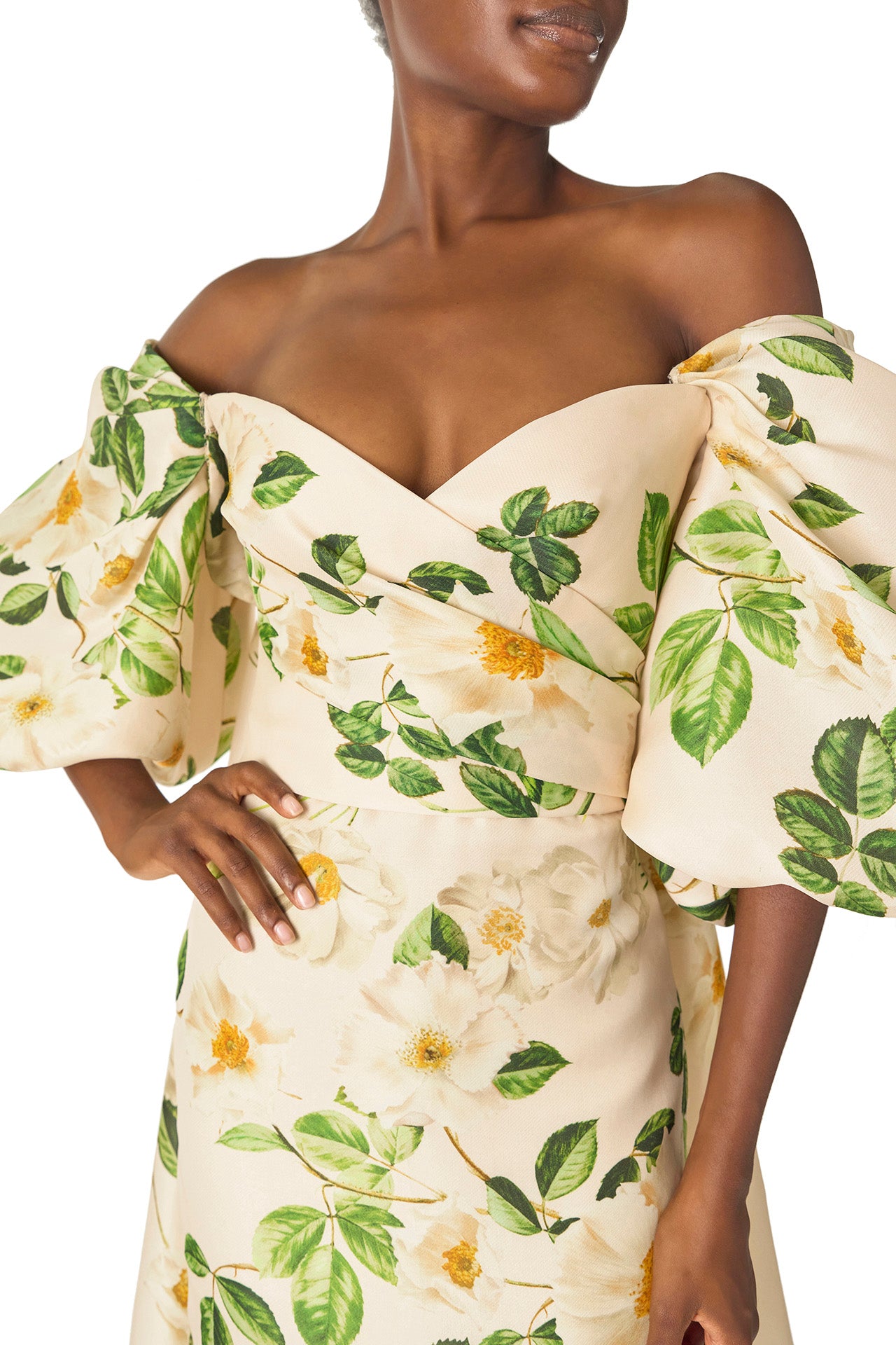 Monique Lhuillier Spring 2025 Off-the-shoulder, rose printed gazar cape with blouson puff sleeves - neckline.