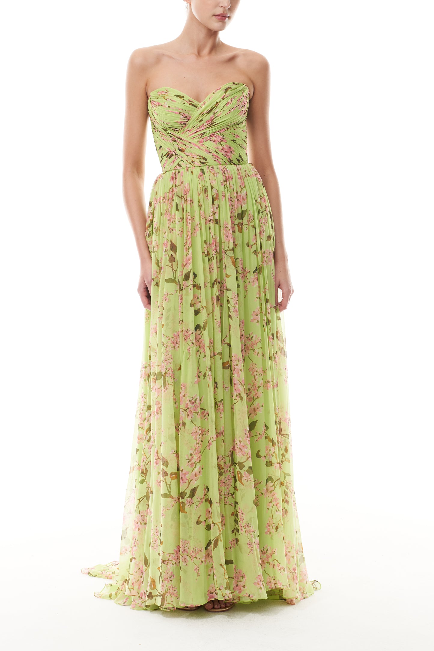 Monique Lhuillier Fall 2025 Celedon/Multi Wisteria Printed chiffon draped a-line gown - front.