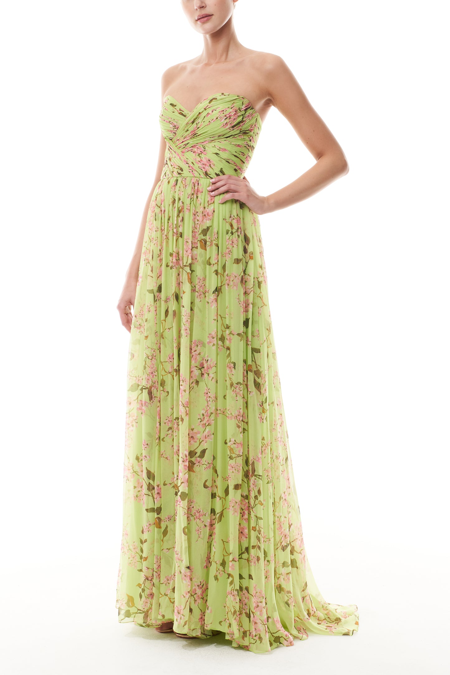 Monique Lhuillier Fall 2025 Celedon/Multi Wisteria Printed chiffon draped a-line gown - side.