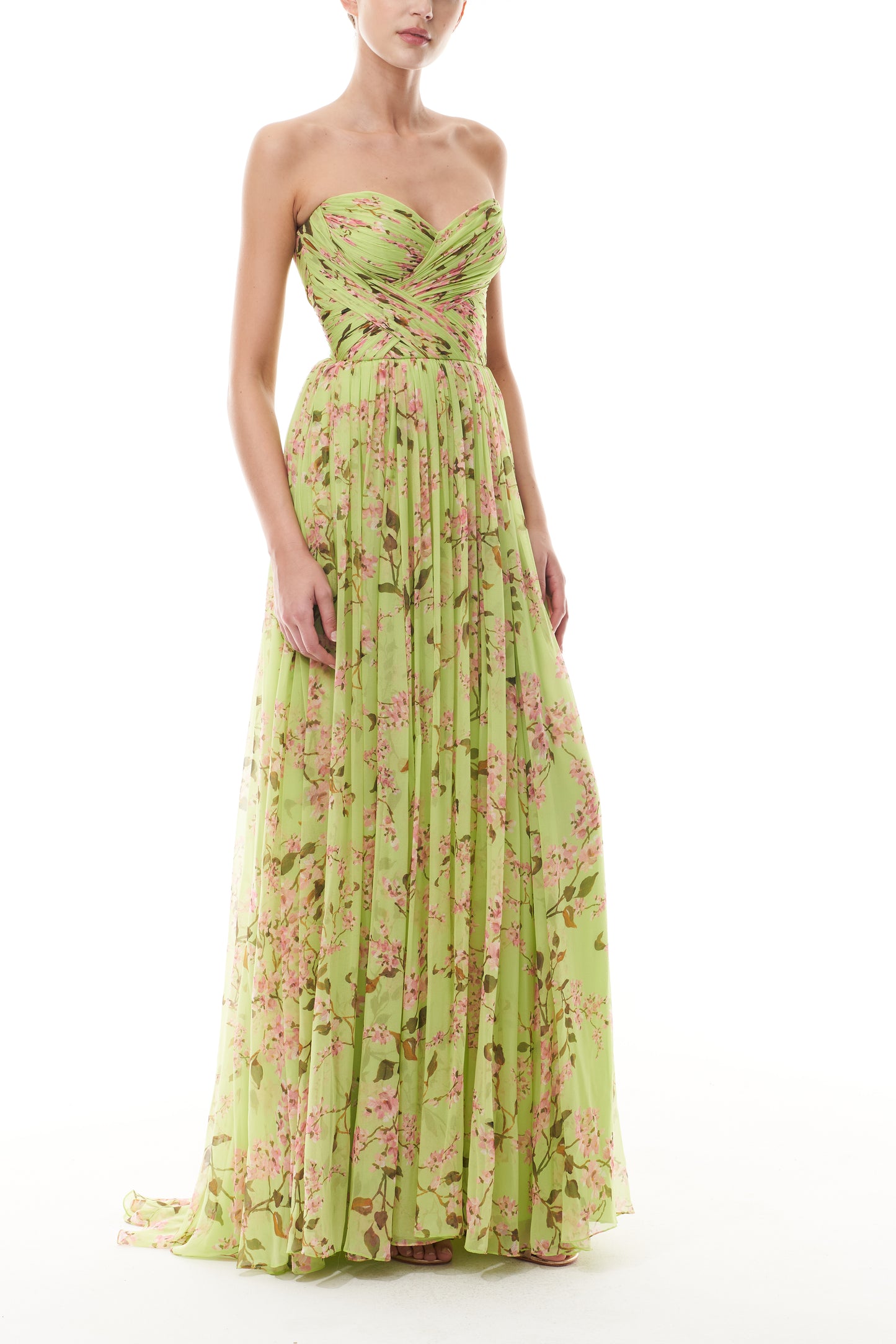 Monique Lhuillier Fall 2025 Celedon/Multi Wisteria Printed chiffon draped a-line gown - side.
