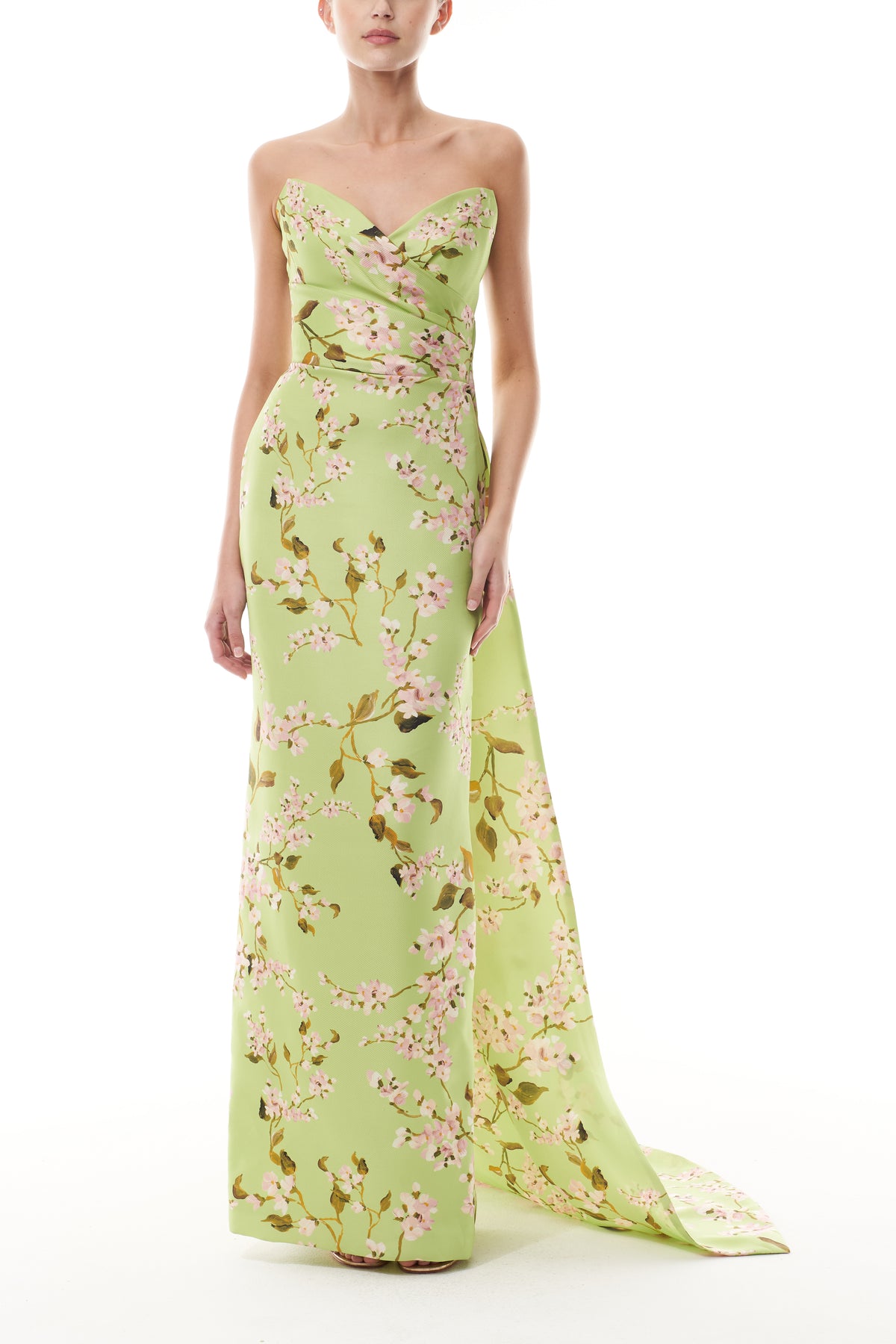 Monique Lhuillier Fall 2025 Draped Bodice Column Gown with Train in Celedon/Multi Wisteria Printed Gazar - front.