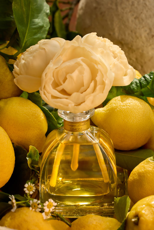 Monique Lhuillier x Agraria Limone diffuser with sola flowers