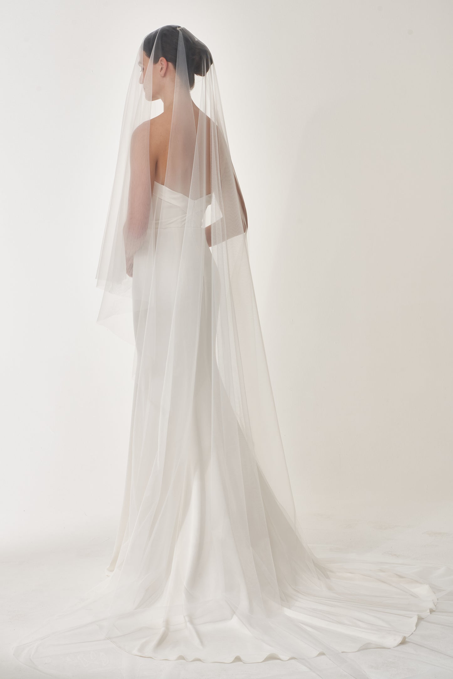 Chapel length tulle veil with blusher