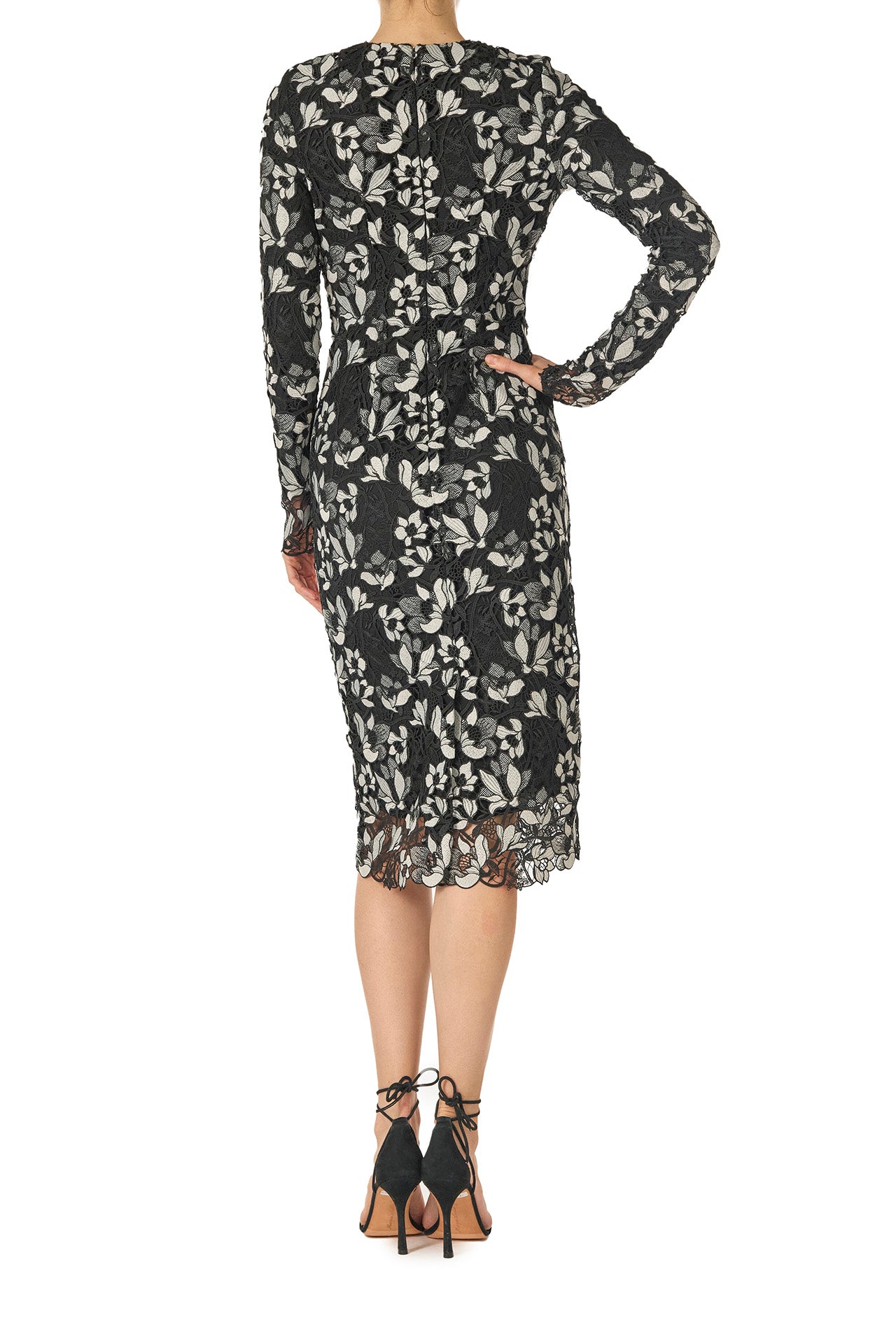 Monique Lhuillier Spring 2025 long sleeve sheath dress in noir silk white floral lace - back.