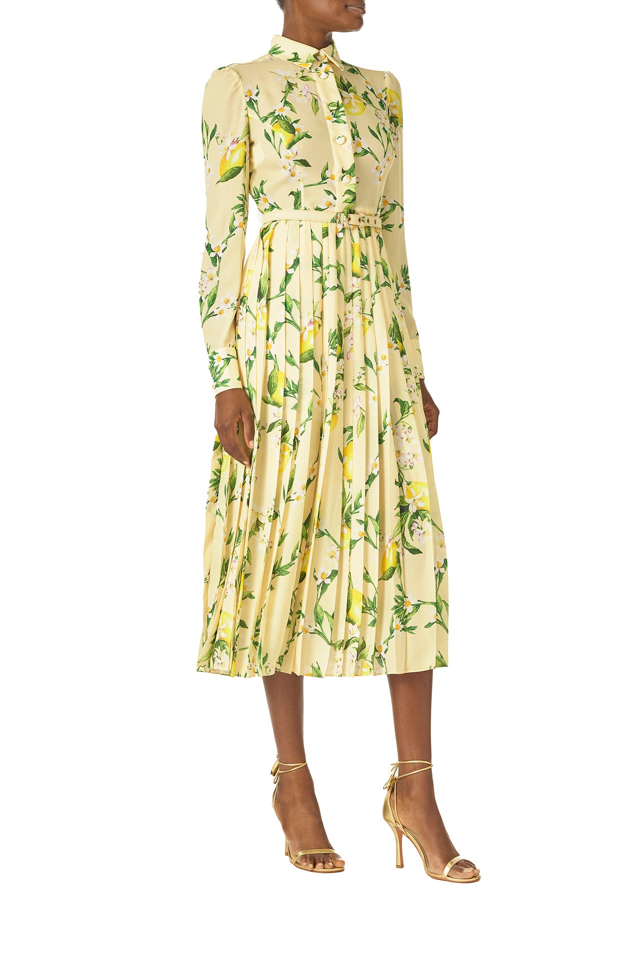 Monique Lhuillier Spring 2025 long sleeve pleated button-down dress with belt at waist in lemon printed georgette fabric - right side.