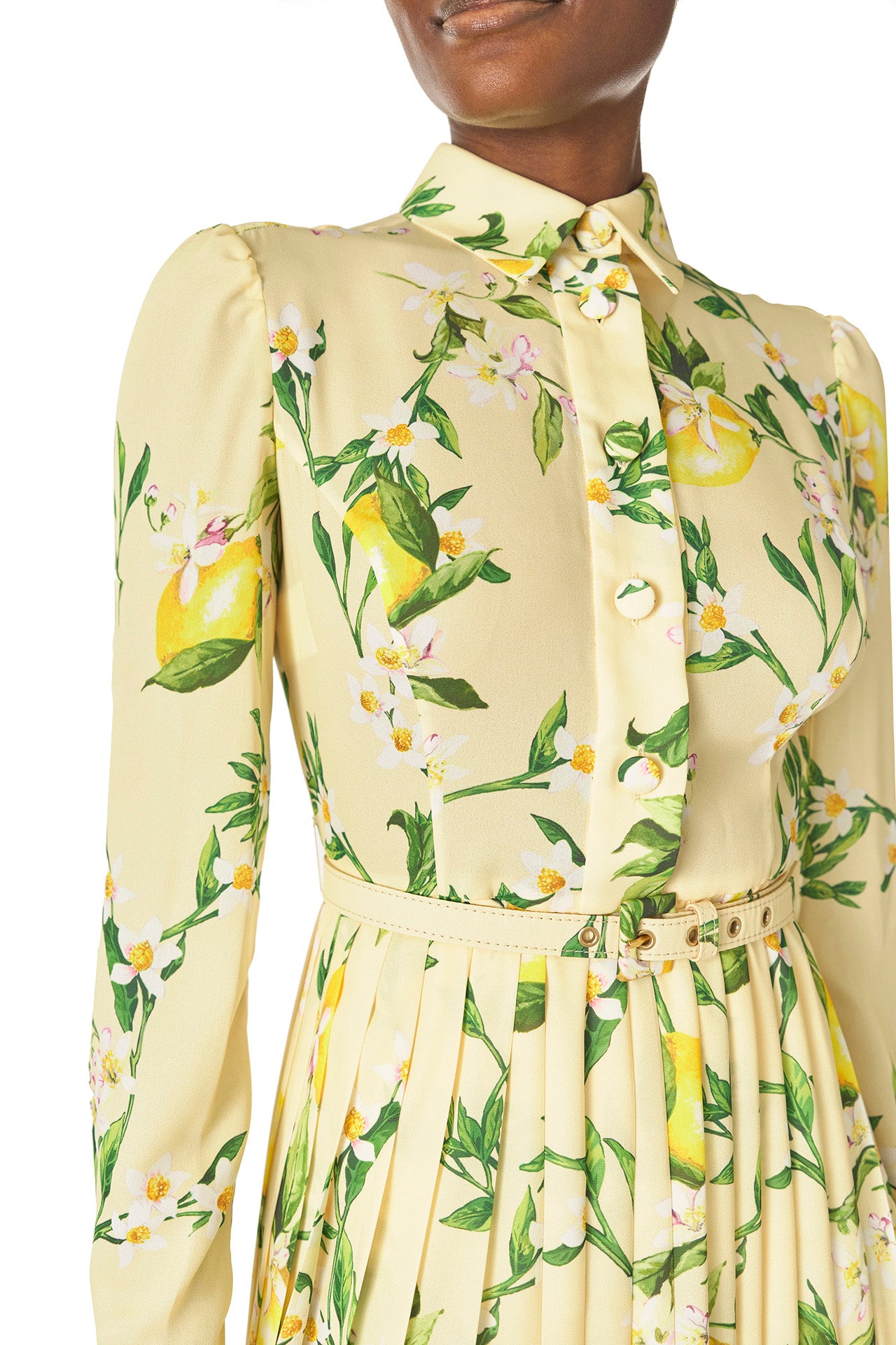 Monique Lhuillier Spring 2025 long sleeve pleated button-down dress with belt at waist in lemon printed georgette fabric - neckline.