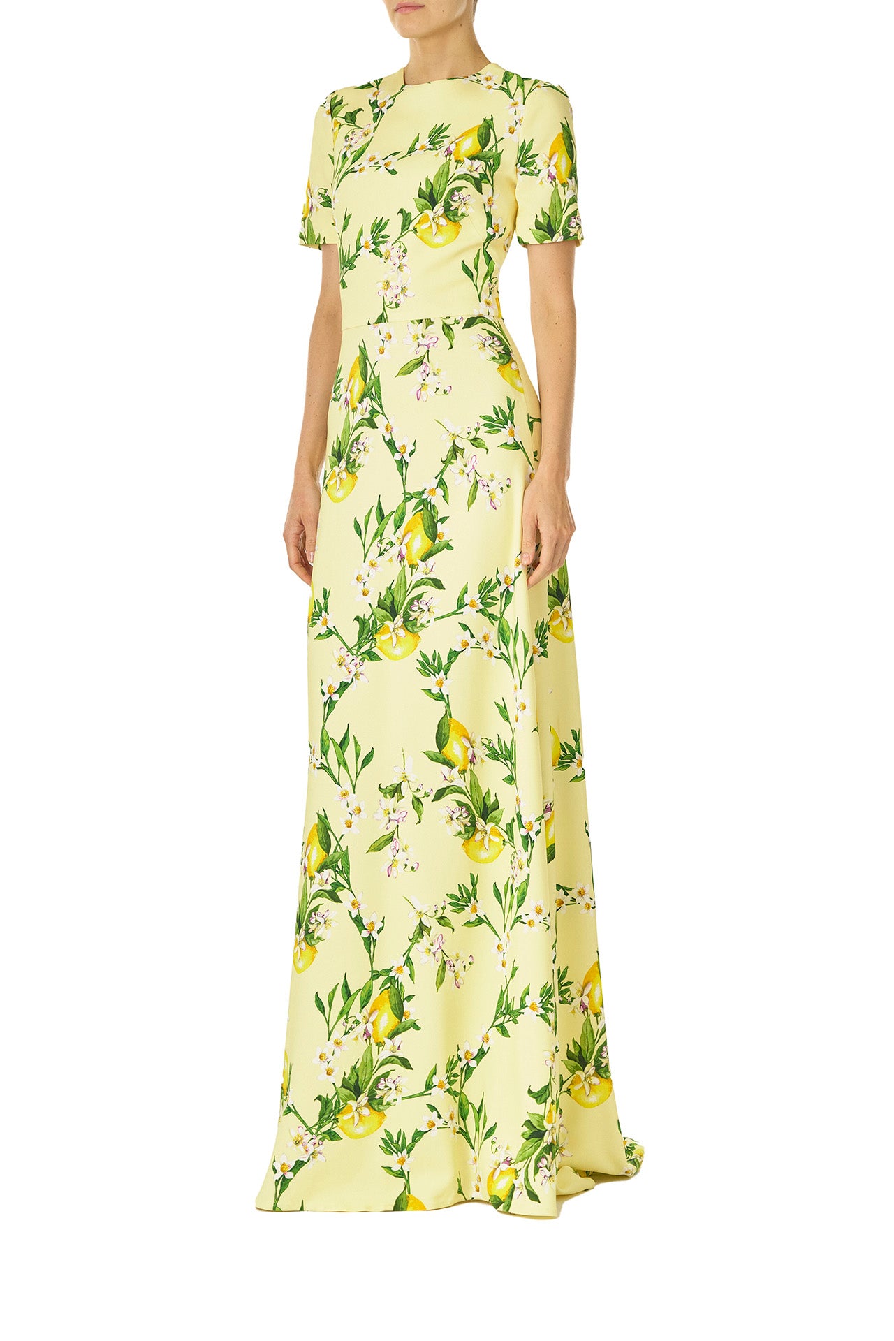 Monique Lhuillier Spring 2025 Short sleeve, floor length gown with jewel neckline in Lemon printed Crepe fabric - side.