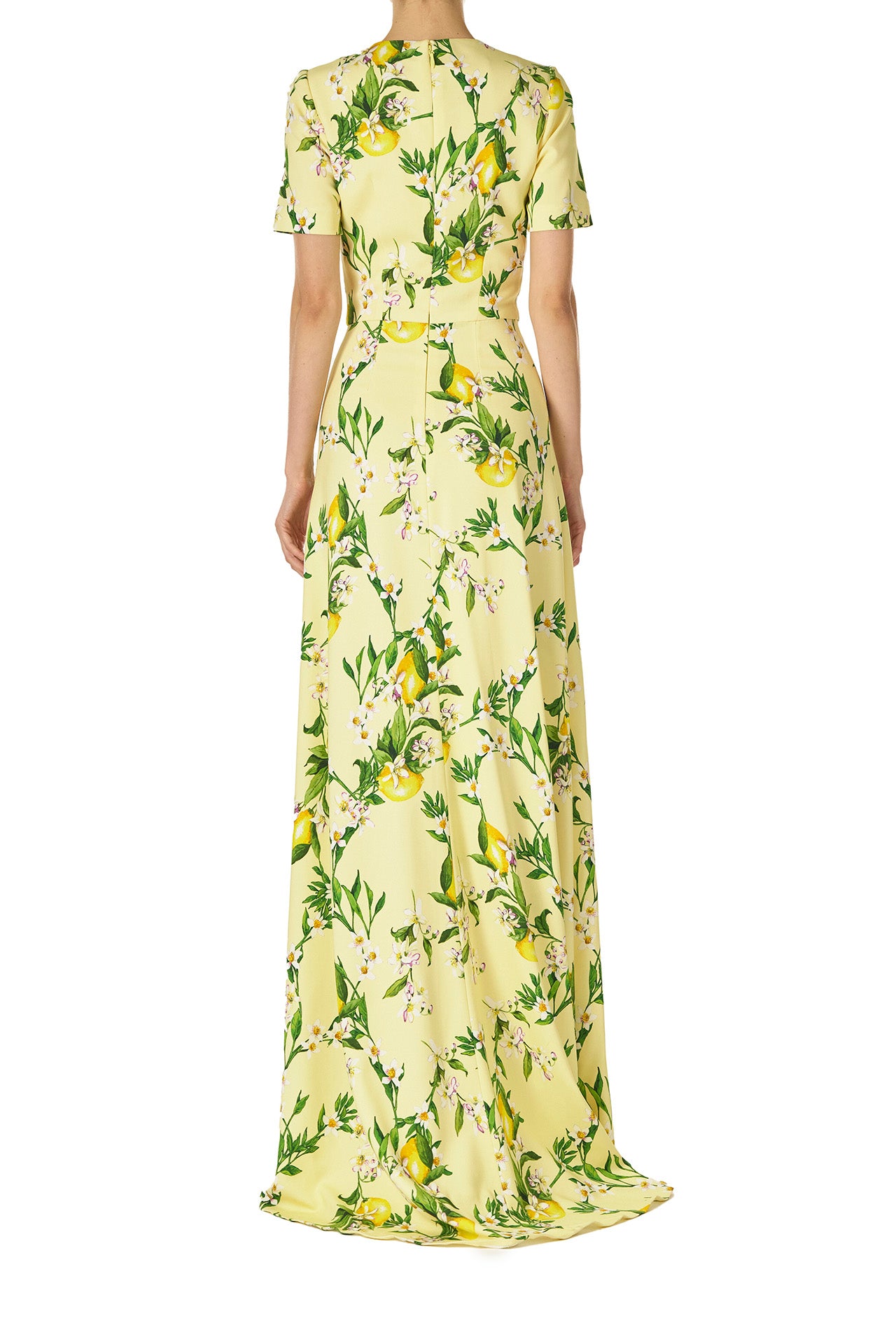 Monique Lhuillier Spring 2025 Short sleeve, floor length gown with jewel neckline in Lemon printed Crepe fabric - back.