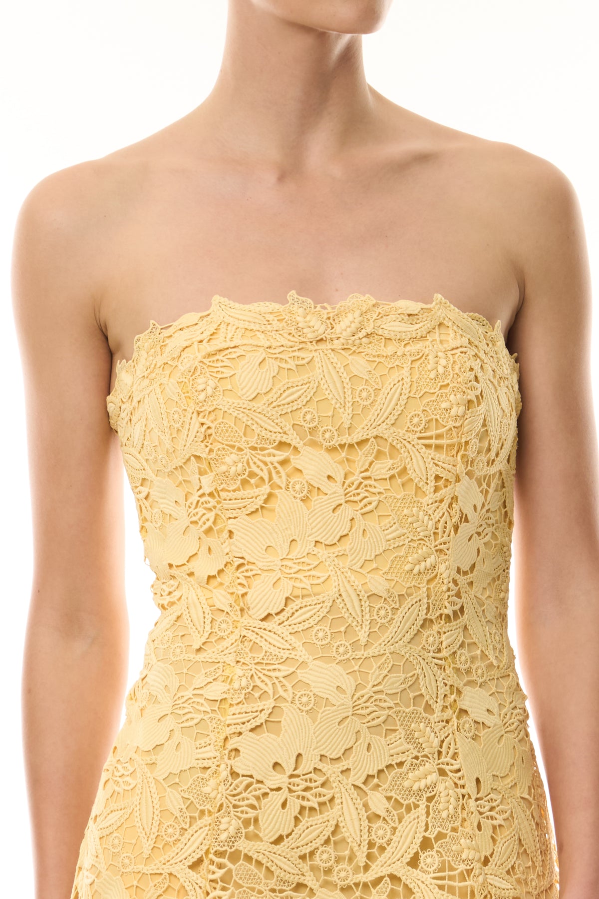 Monique Lhuillier Fall 2026 Citrine guipure lace strapless tea-length gown - fabric.