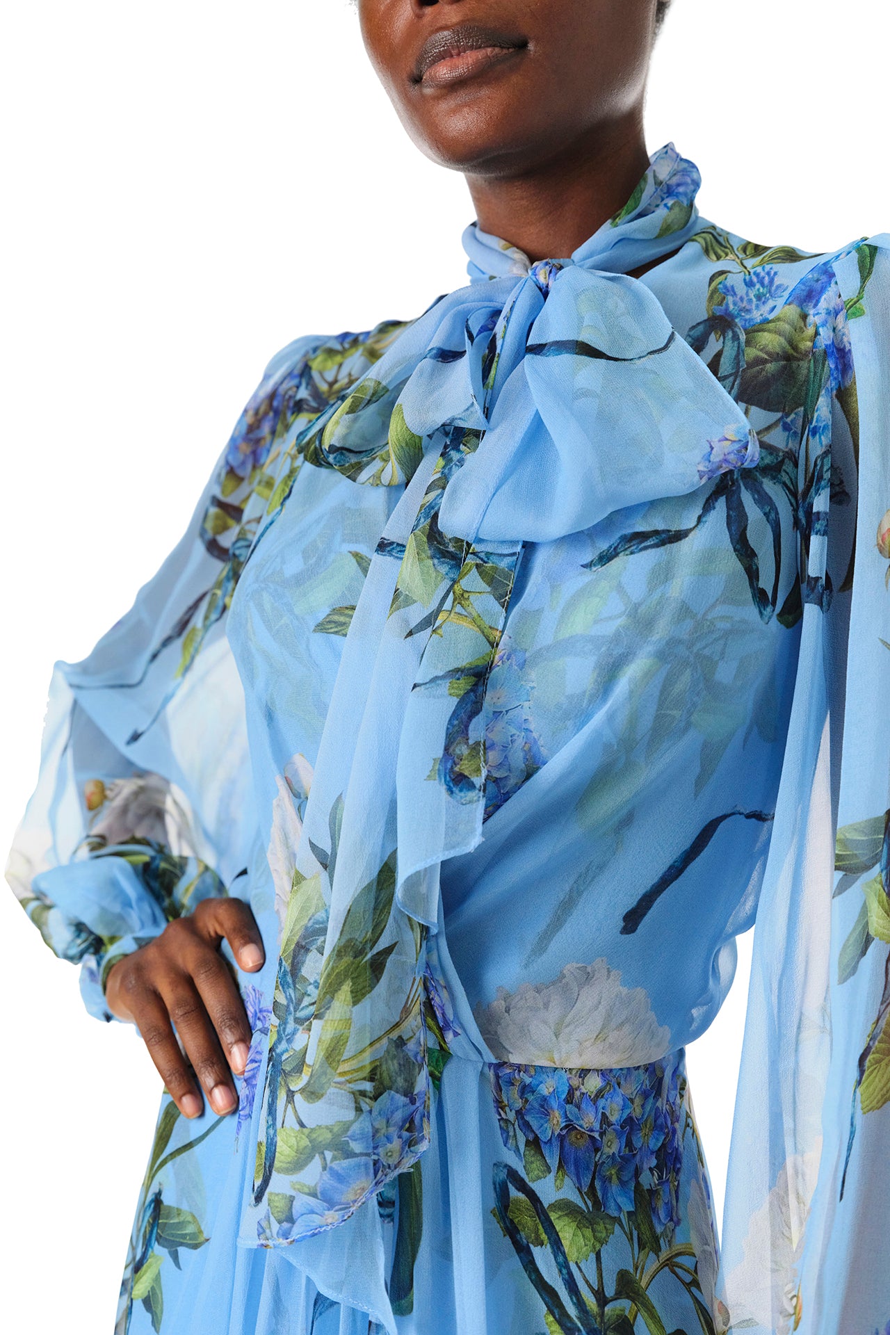Floral Printed Chiffon Long Sleeve Gown 2 / Sky Blue/Multi Floral Printed Chiffon Long Sleeve Gown 2 / Sky Blue/Multi