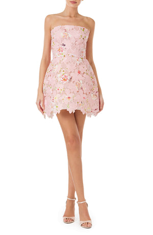Printed Lace Mini Dress