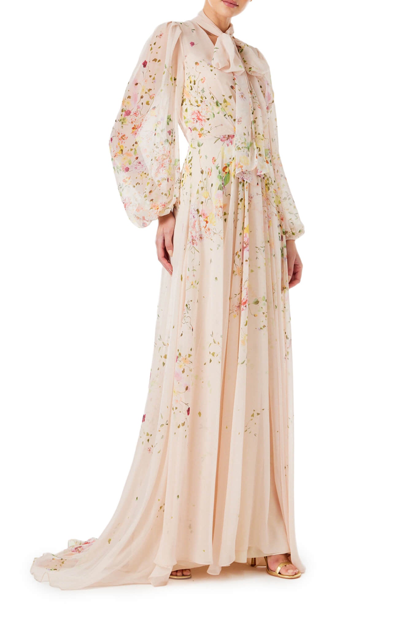Floral Chiffon Long Sleeve Gown – Monique Lhuillier