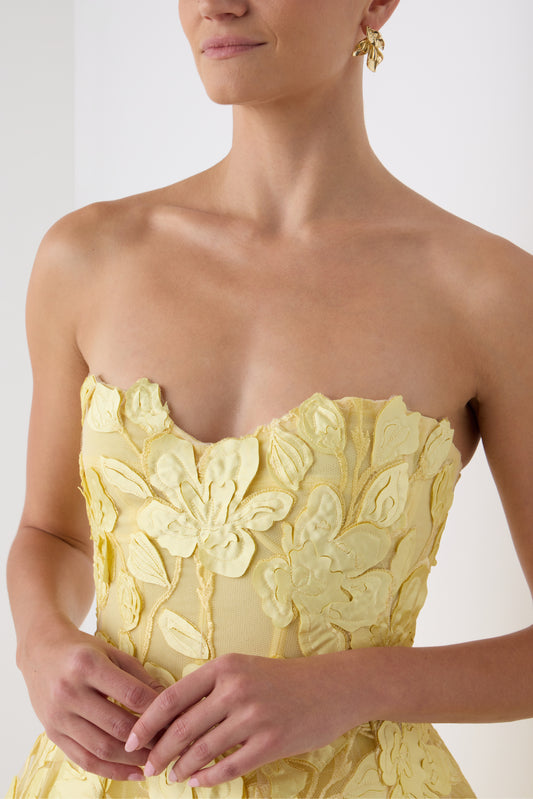 Strapless Lace Tea Length Dress