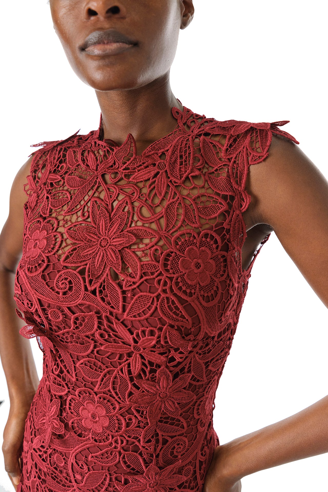 Monique Lhuillier Fall 2024 Sleeveless sheath with jewel neckline in Merlot Daisy Guipure Lace - neckline.