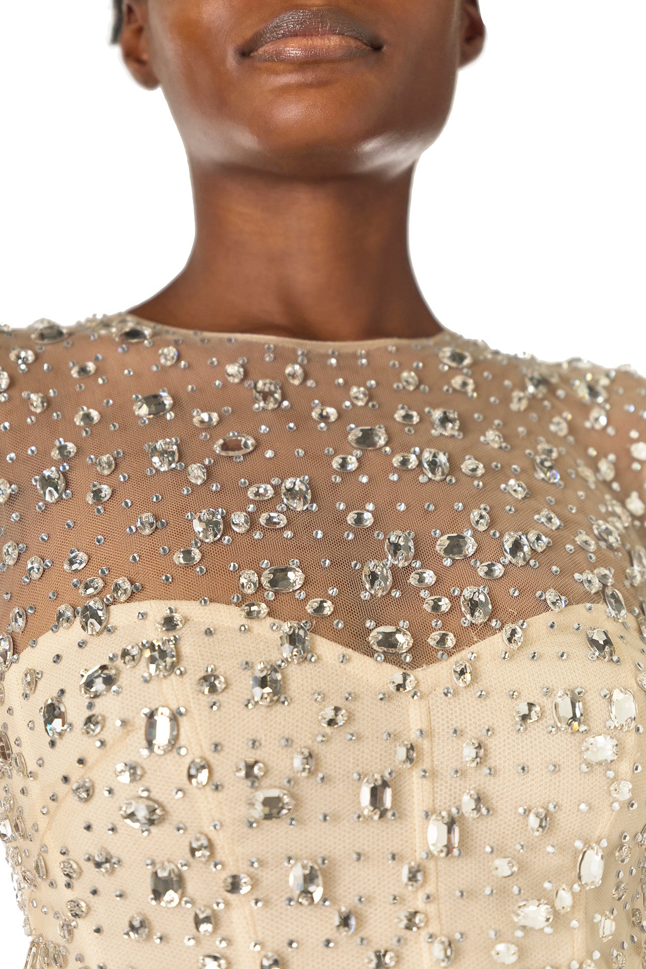 Crystal Embroidered Illusion Gown