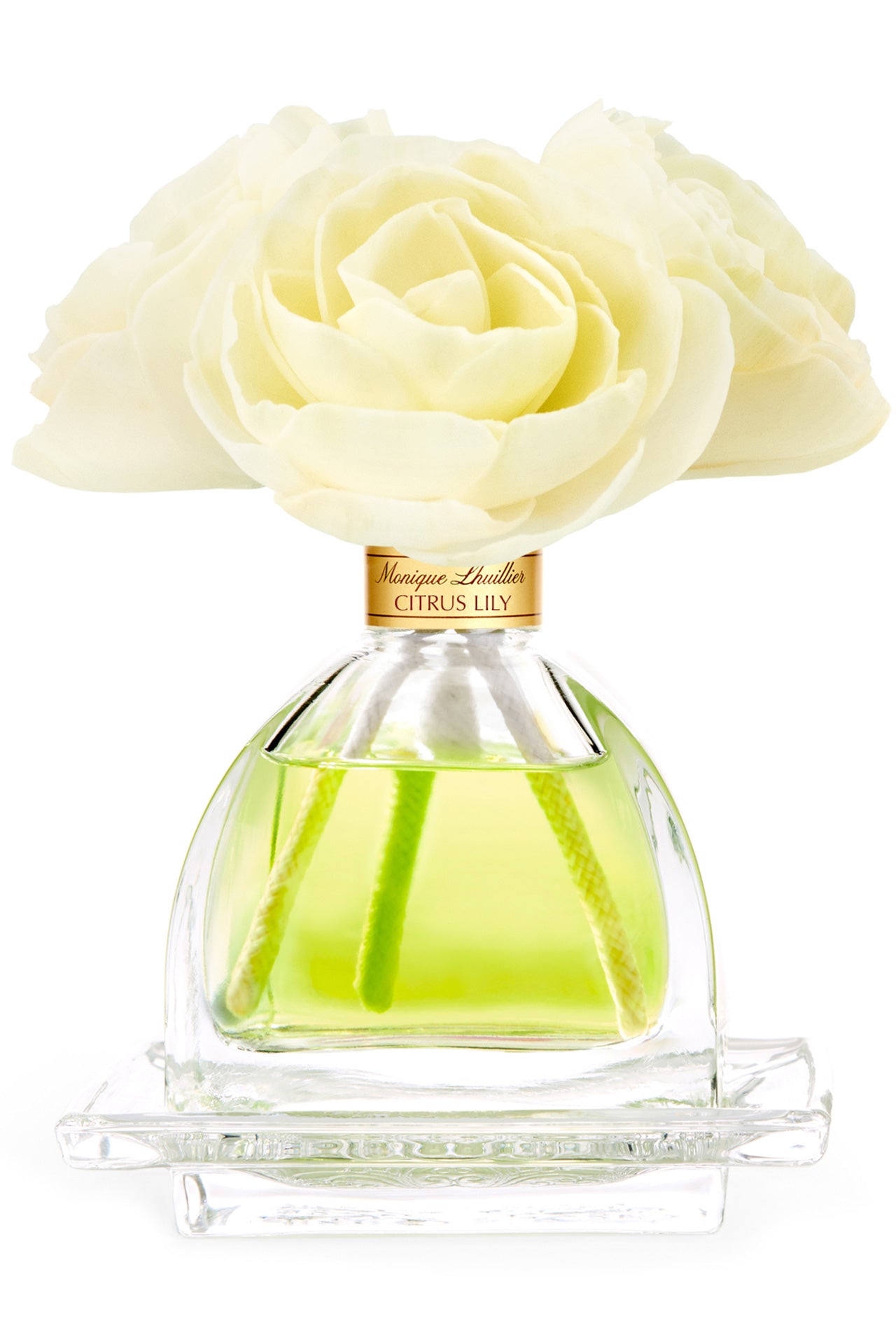diffuser plant Citrus Lily AirEssence Diffuser – Monique Lhuillier