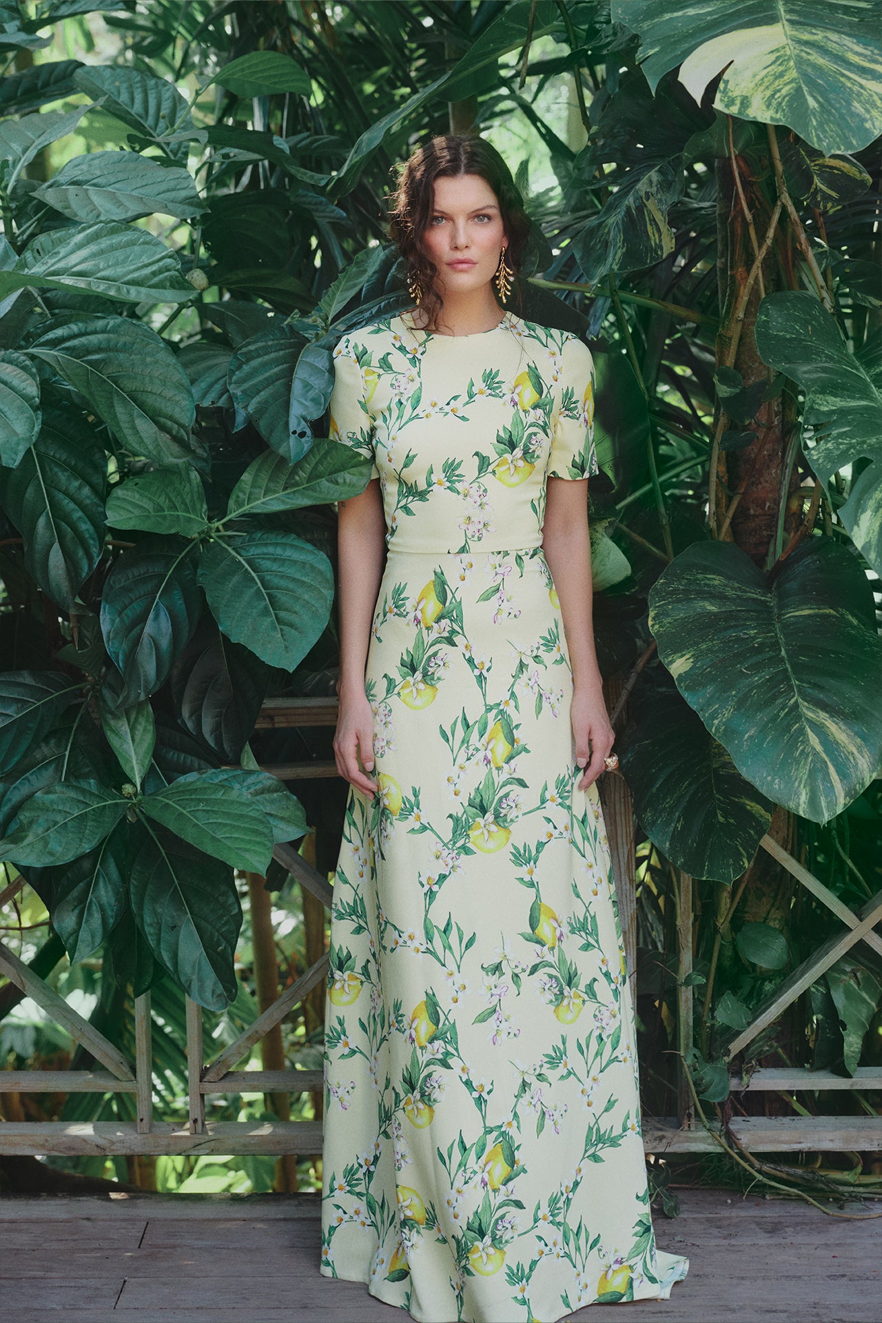 Monique Lhuillier Spring 2025 Short sleeve, floor length gown with jewel neckline in Lemon printed Crepe fabric - front lookbook image.