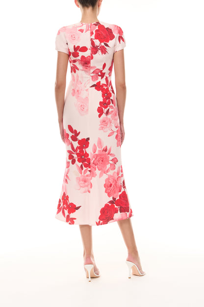 Monique Lhuillier Spring 2026 Powder Pink Multi Rose Ombre Printed Crepe Draped neckline cap sleeve dress - back.