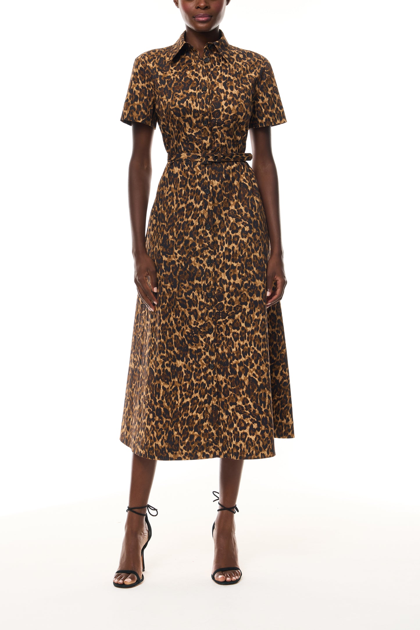 shirt dress leopard Leopard Poplin Shirt Dress – Monique Lhuillier