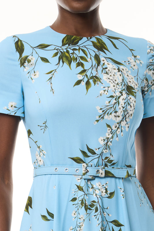 Monique Lhuillier Fall 2026 Short Sleeve Belted Dress in Horizon Blue Wisteria Printed Crepe - fabric.