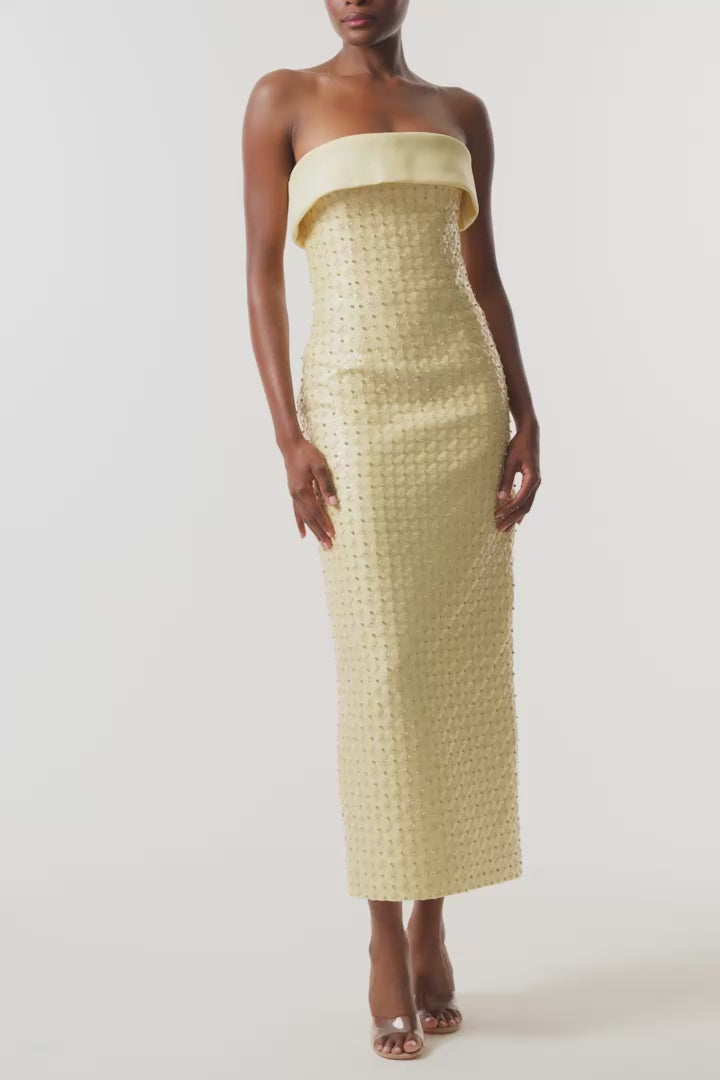 Monique Lhuillier Fall 2026 Pale Yellow Embroidered Mikado Piqué Strapless column dress - video.