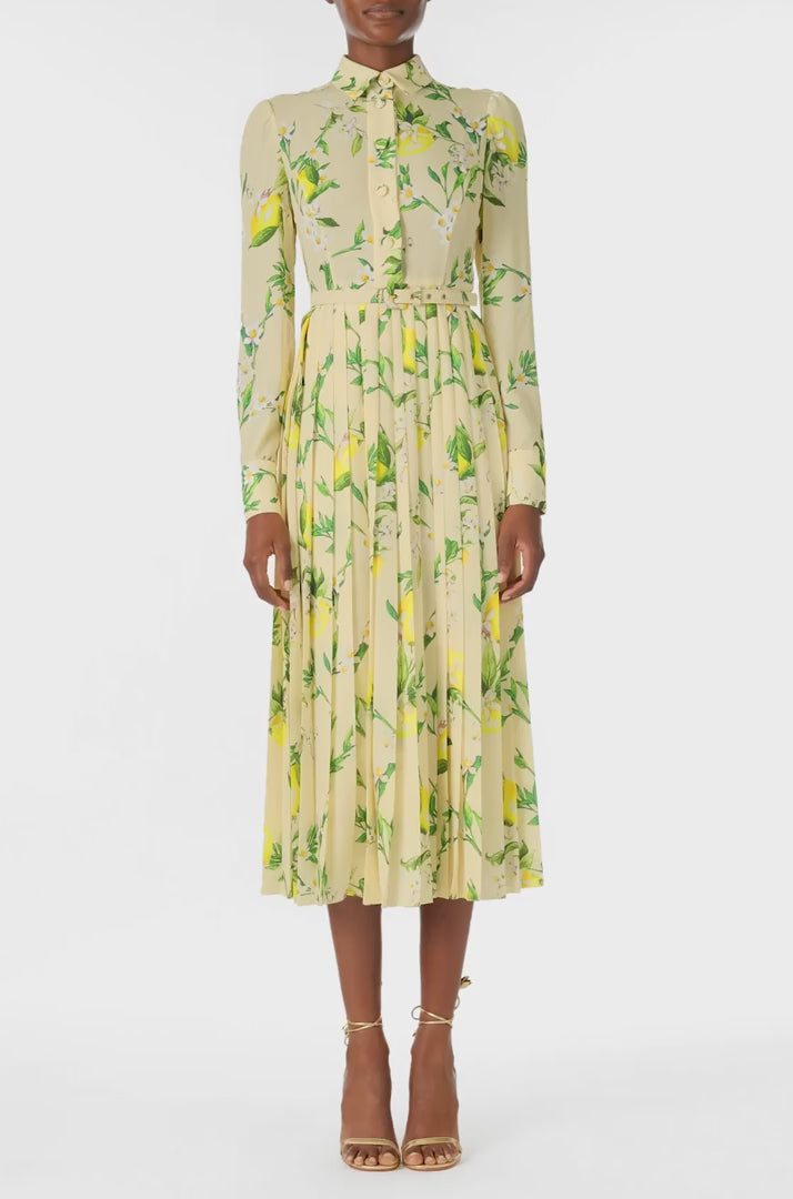 Monique Lhuillier Spring 2025 long sleeve pleated button-down dress with belt at waist in lemon printed georgette fabric - video.