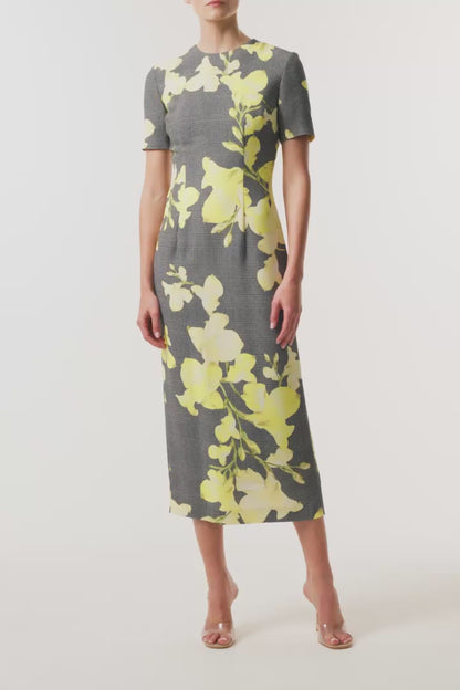 Monique Lhuillier Fall 2026 short sleeve sheath dress in Glen Plaid Snapdragon Printed Crepe Suiting -video. 