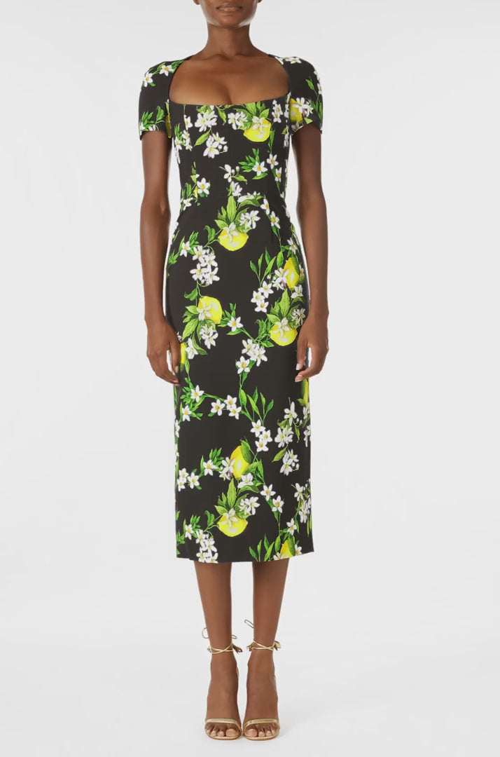 Monique Lhuillier Spring 2025 Short sleeve, corseted sheath dress in Noir and Lemon printed crepe - video.