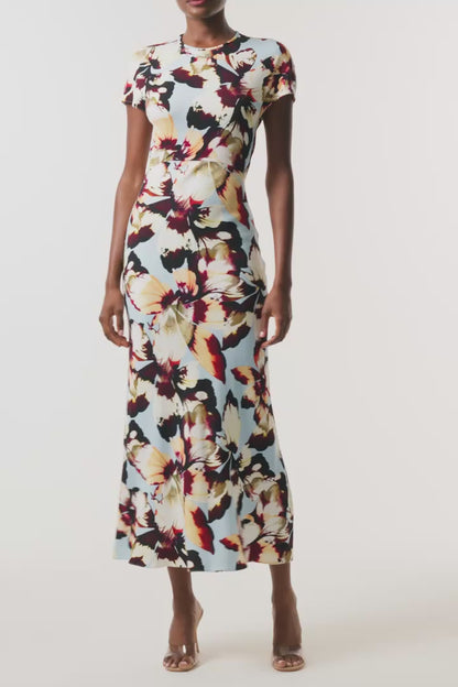 Monique Lhuillier Fall 2026 Breeze/Multi Amber Lily Stretch Crepe Short Sleeve Amber Lily Day Dress - video.