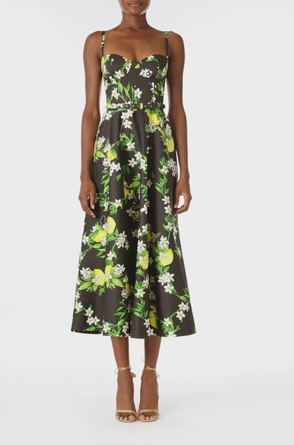 Monique Lhuillier Spring 2025 A-line midi dress with spaghetti straps, corseted bodice and pockets in Lemon printed cotton poplin - video.